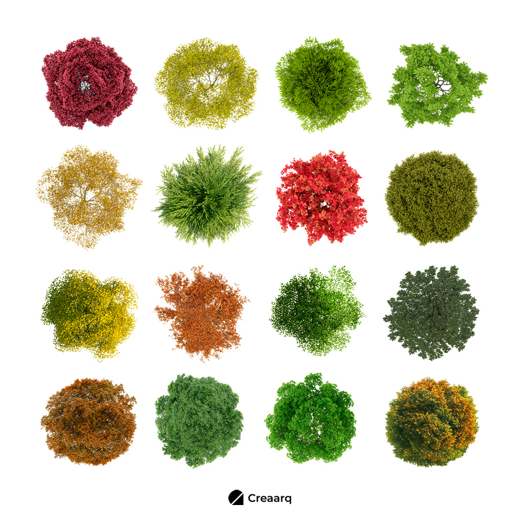 Portada_Producto_Imágenes_Arboles_PlantA