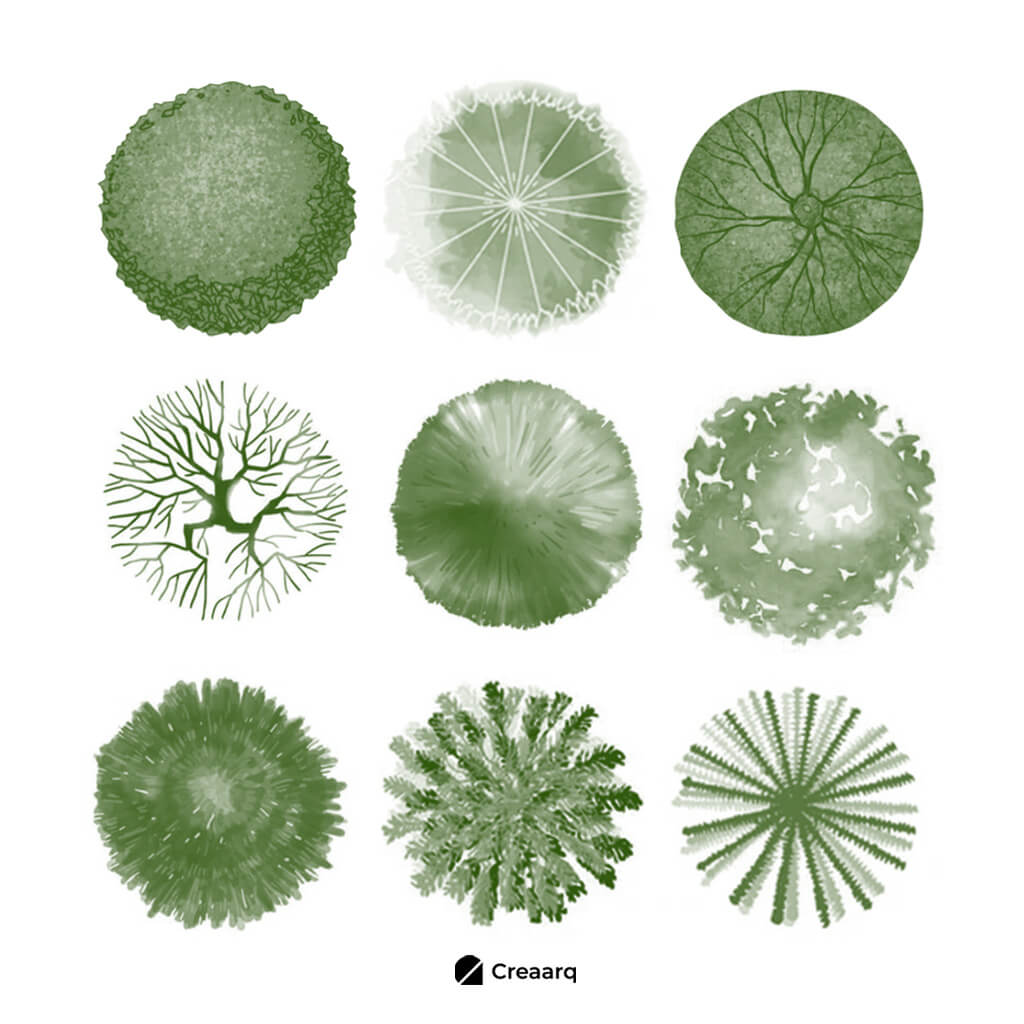 Portada_Producto_Pinceles_Arboles_Planta_V3